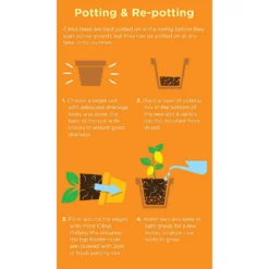 Westland Citrus Potting Mix Peat Free 8L -Herbs Growing Sales Store 14013785 1645003754507372