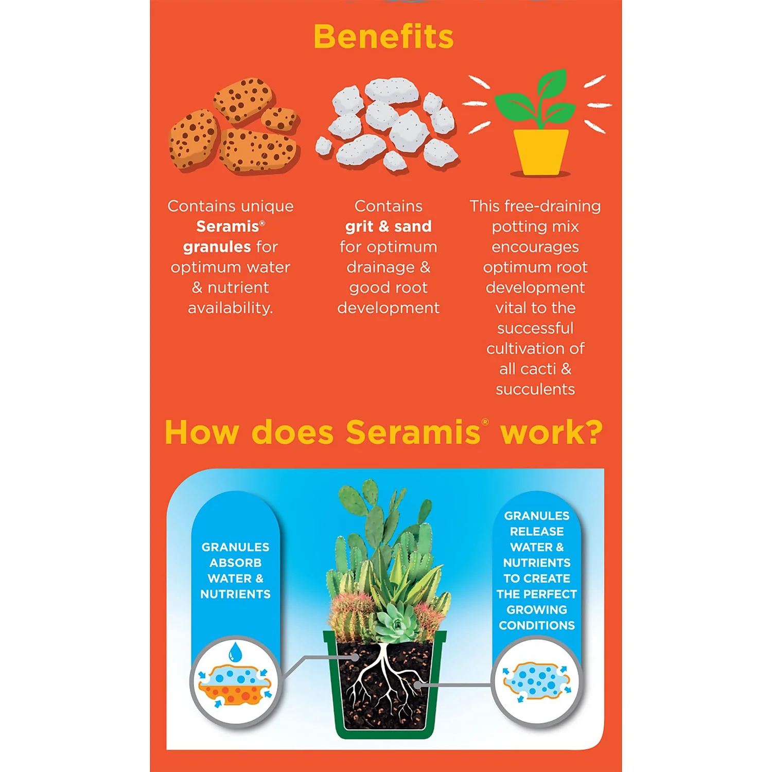 Westland Cacti & Succulent Potting Mix Peat Free 4L 2 Westland Cacti & Succulent Potting Mix Peat Free 4L - Image 2