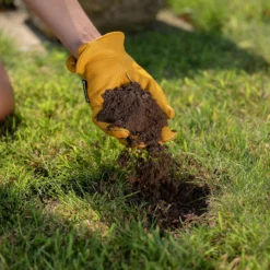 Gro-Sure Lawn Seeding Soil 25L -Herbs Growing Sales Store 14013795 6885003754801318