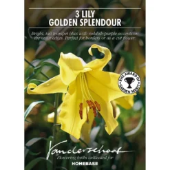 Herbs Growing Sales Store -Herbs Growing Sales Store 14194648 5485015428890243