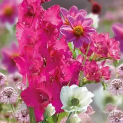 Collection Pretty Posy -Herbs Growing Sales Store 14194650 4455015428951851