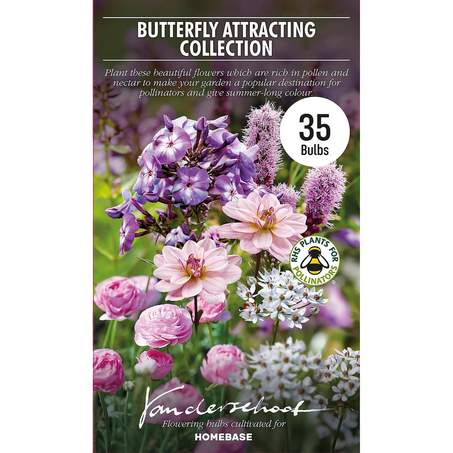 Collection Butterfly Attracting 2 Collection Butterfly Attracting - Image 2